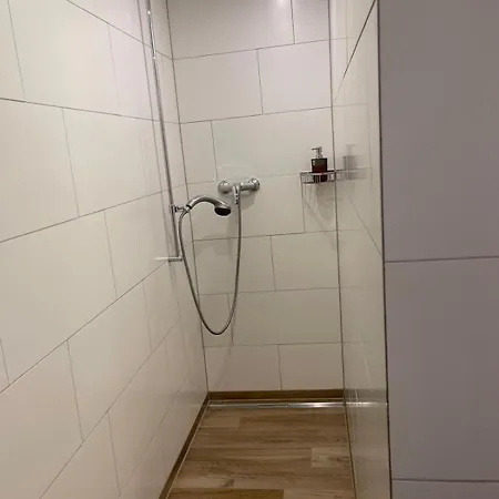 Studio Apartment Brienz (Bern)
