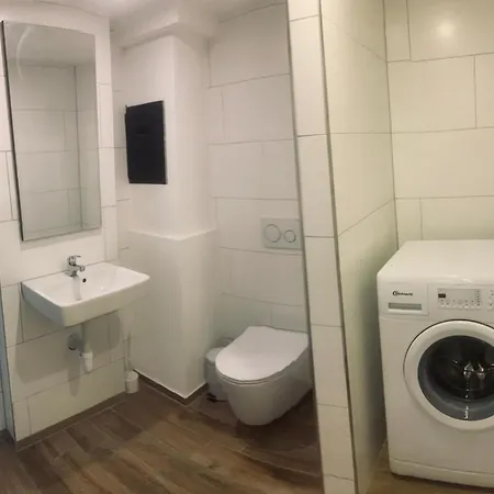Studio Apartment Brienz (Bern)